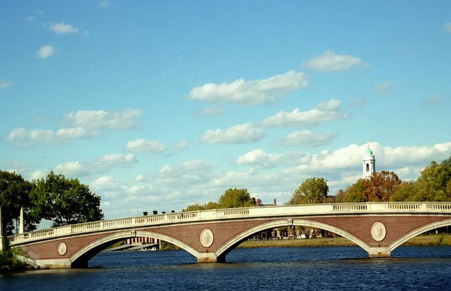 Travel Curious: Cambridge Tour with Tickets to King College Chapel - Private Walking Tour - Foto 2